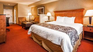 Best Western Plus Canyon Pines - Ogden - 8