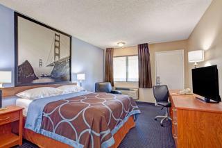 Super 8 by Wyndham Albany - Albany - 3
