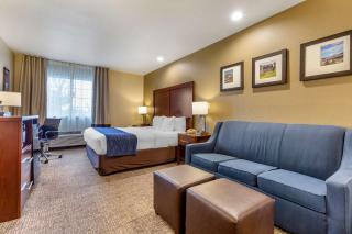 Comfort Inn I-17 & I-40 - Flagstaff - 6