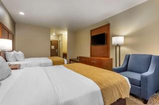 Comfort Inn I-17 & I-40 - Flagstaff - 5