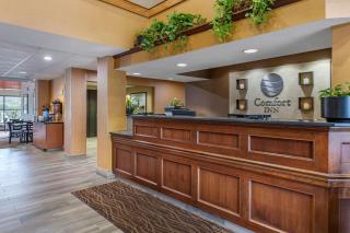 Comfort Inn Okemos - East Lansing - Okemos - 2