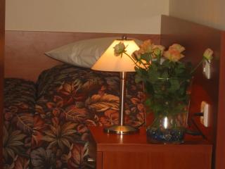 Hotel Termy Pałacowe - 9