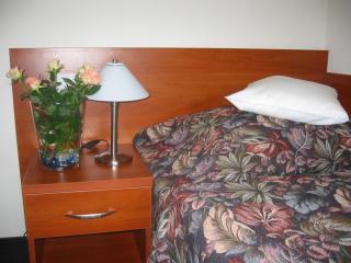 Hotel Termy Pałacowe - 7