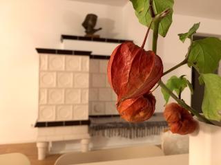 zuHause mit Berg-und BodenSeesicht - 4