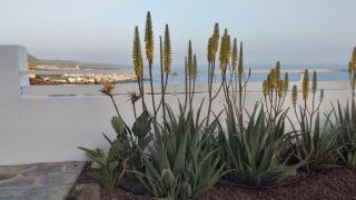 Las Pardelas, Ferienhaus mit Meer-, Küsten- und Bergblick im grünen Norden Teneriffas - Las Cruces - 4