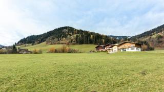 Landhotel Hinteraigengut - Flachau - 5