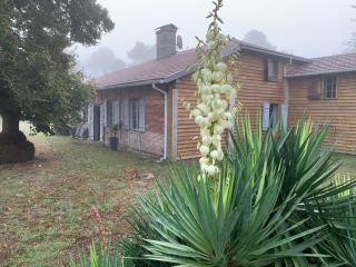Maison Magnolia - Onesse-et-Laharie - 2