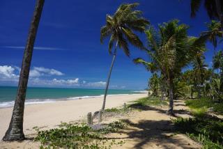 Village Praia do Forte - Complexo Iberostate - 6