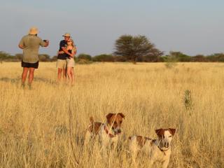 Ombe Guestfarm & Safari - Hochfeld - 1