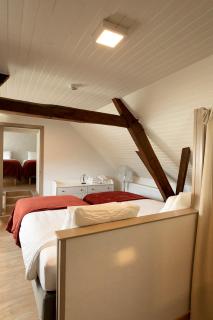 Enjoytoday 49 - Luxueus familieverblijf aan de voet van de Koppenberg - 2