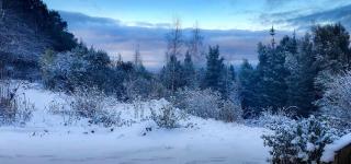 Fourfields Hogsback - 4