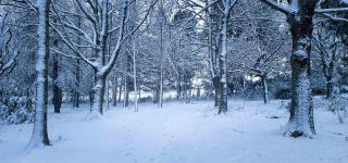 Fourfields Hogsback - 1