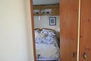 Swallows Return - Clynderwen - 5