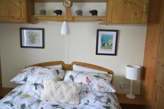 Swallows Return - Clynderwen - 1