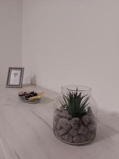 Apartman Milena Pale - dva garazna parking mjesta - Pale - 1