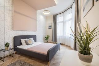 Amora Homes 3 bedrooms bright flat in the heart of the city -FREE PARKING Need Reservation - Budapest - 9