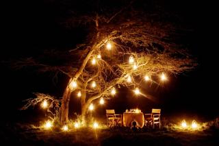 Karen Blixen Camp Masai Mara - 4