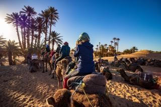 Camel Trekking Desert Camp - 1