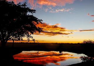Ombe Guestfarm & Safari - Hochfeld - 3