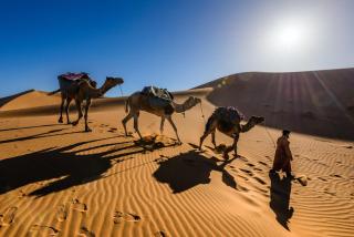 Hôtel Camping La Liberté - Merzouga - 4