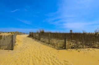 Sunrise Sea 406 - Ocean City - 8