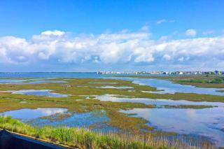 Seabay Vista 2 301 - Ocean City - 9