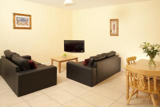 Menlo Park Apartments - Galway - 1