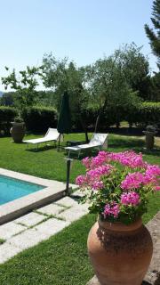 Podere Lamaccia - Cetona - 3