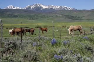 Quaint Mountain Condo - 4