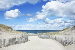 Long Point Getaway - Provincetown - 8