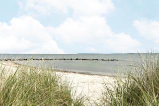 Harbortown Hideaway - 3