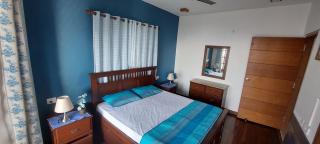 VEENU'S COTTAGE superior villa MUSSOORIE - Mussoorie - 5