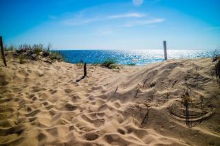 Summer Ocean Escapes - Dennis Port - 3