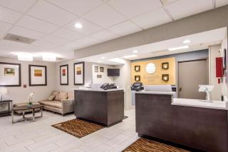 Comfort Inn Greenville - Haywood Mall - Greenville - 3