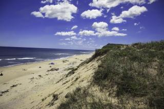 Hatches Creek Sanctuary - Wellfleet - 9