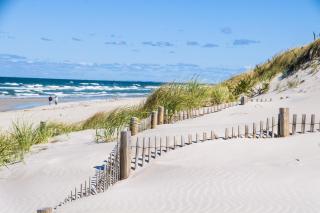 Hatches Creek Sanctuary - Wellfleet - 8
