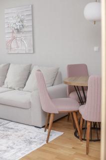 Bulevar Apartmani - Pale - 7