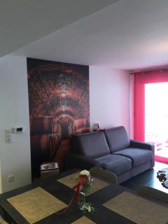 Le Riesling Colmar centre Charmant appartement avec terrasse et parking gratuit - Colmar - 4