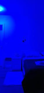 VIlla Blueberry - Zadar - 7