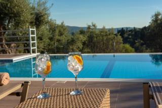 Villa Daphne, Inoro Villas - Katouna - 7