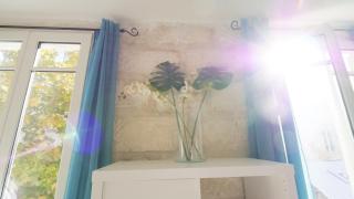 Charmant studio 25 m2 centre ville Avignon - Avignon - 5