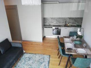 NEW LOFT APARTMENTS JURMALA with FREE SECURED PARKING - 8