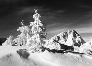 Almhaus Nassfeld - Sonnenalpe Nassfeld - 6