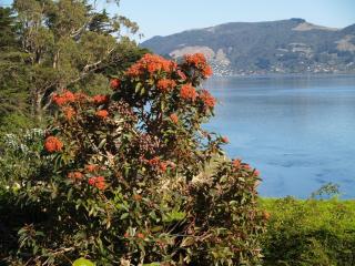 Captain Eady's Lookout - Portobello - 8