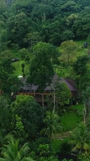 Beyond Eco Living - Munnar - 4