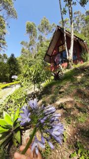 Chalé Pakere Refúgio Serra Lumiar - a mais de 1000 metros altitude, em meio a natureza - lareira, sauna, piscina e água de nascente - locação do chalé sem prestação de serviços - 6