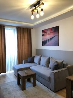 Vila Planinsko Blago Luxury Apartmans - 3