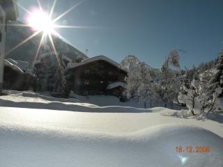 Hotel Bellevue - Champoluc - 5
