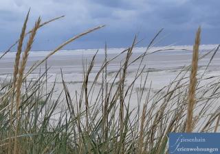 Friesenhain Ferienwohnungen - Sankt Peter-Ording - 1