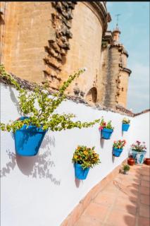 La Colegiata De Ronda - 1